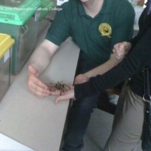 Wirral Herpetological Society (11).jpg